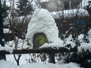 SAM_0653