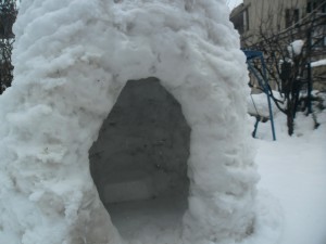 SAM_0654