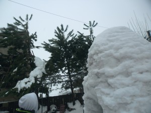 SAM_0658