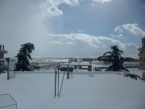 neige